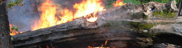 Burning log